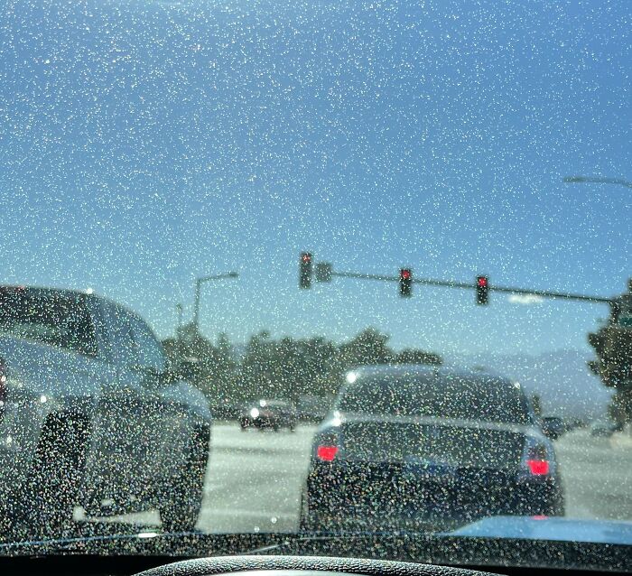 View from inside a car with a dirty windshield waiting at a red light, illustrating crazy things people do to make their ex pine.