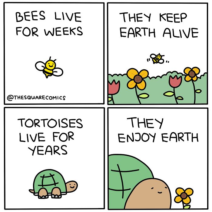 Darkly funny comic panels illustrate nature’s resilience and the subtle struggles of adulthood with bees and tortoises.