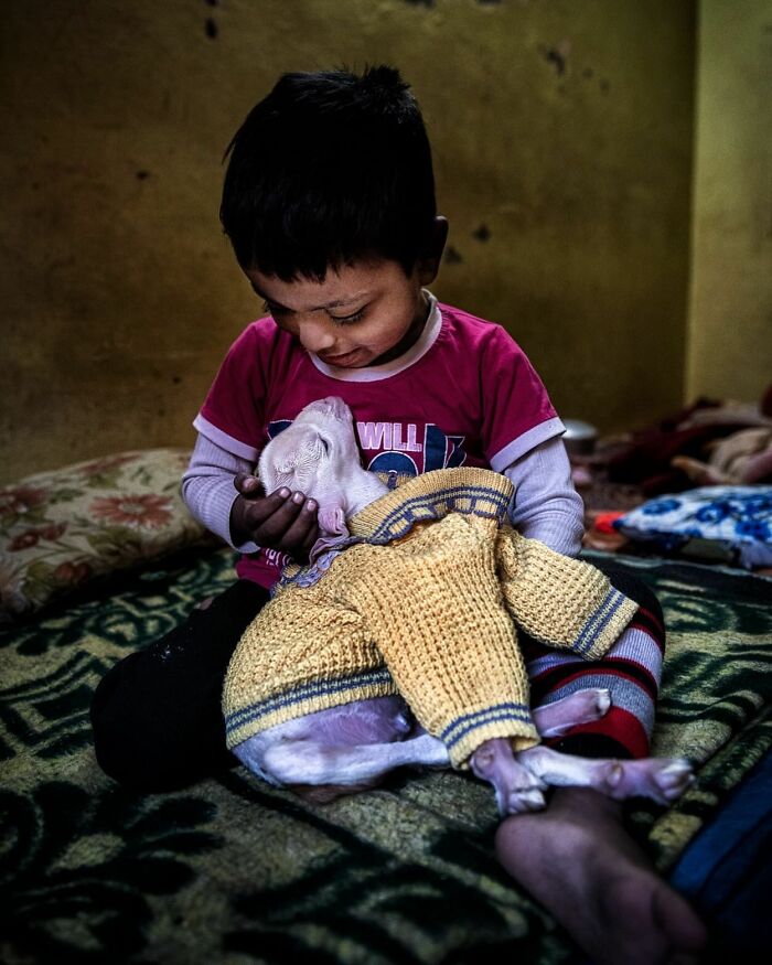 Young boy tenderly holding a dog wearing a yellow sweater, capturing humanity and candid street moments indoors.