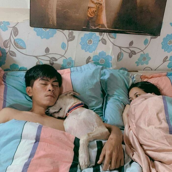 Man and woman in bed with a dog cuddling the man, a funny and heartwarming moment caught on camera.