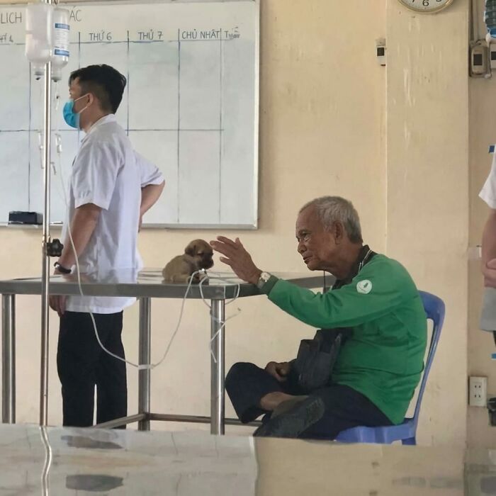 Elderly man interacting with a small puppy on a vet’s table in a room, capturing a hilarious moment with animals.