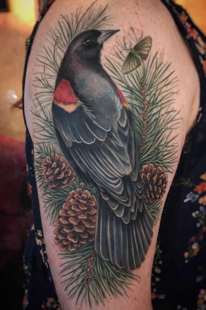 The Timeless Bird Tattoos Of Tara Morgan