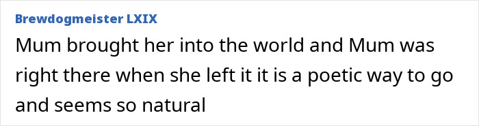 Comment text on screen discussing a poetic view on life and death, related to a lawyer discovered deceased on transatlantic flight.