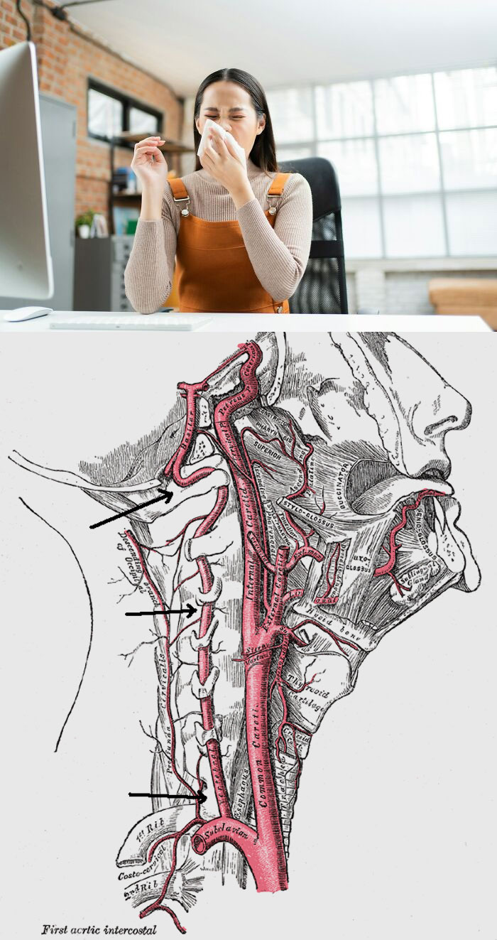 46 Medical Facts So Unusual Most People Never Learn Them