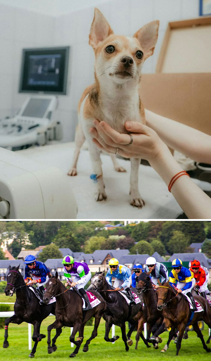 46 Medical Facts So Unusual Most People Never Learn Them