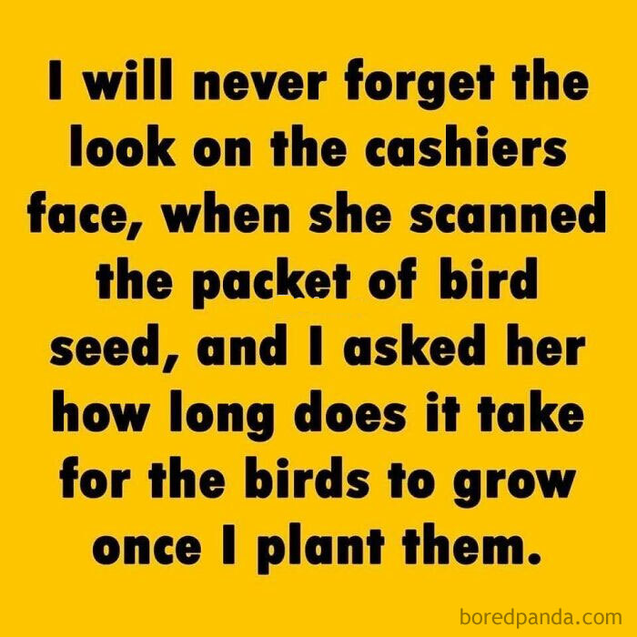 Funny dad joke text on yellow background about confusing bird seed with growing birds, related to dad jokes posts.