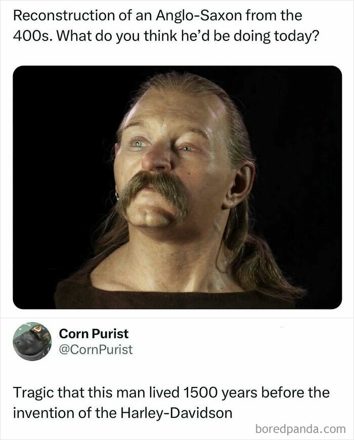 Realistic reconstruction of an Anglo-Saxon man with long hair and mustache, a popular internet post making scrolling enjoyable.