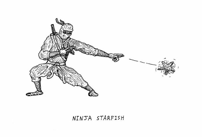 Hand-drawn visual pun of a ninja throwing a starfish, illustrating creative visual puns by the artist.