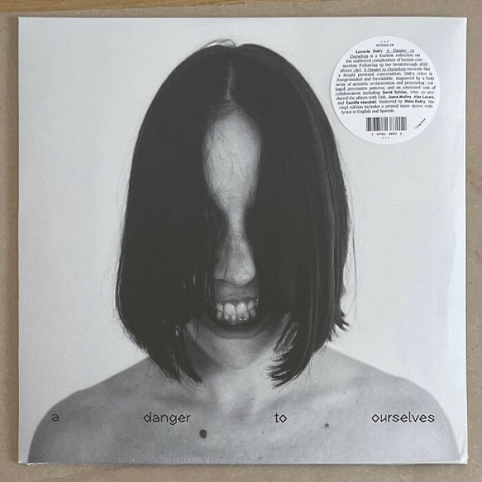 Black and white album cover featuring a person with hair obscuring their face and the text a danger to ourselves.