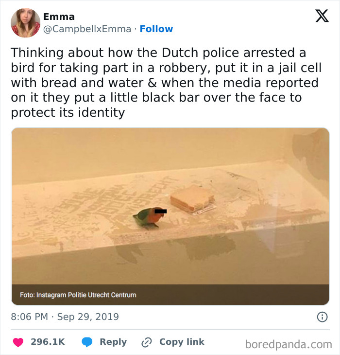 Tweet showing a police social media post about a bird arrested with a black bar over its face, highlighting unserious police humor.
