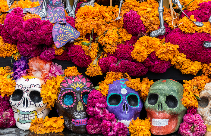 Colorful decorated skulls and marigold flowers arranged for Day of the Dead, representing culture in some of the oldest countries.