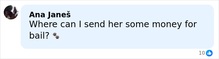 Woman, 64, Leaves Husband With Life-Threatening Injuries After He Reveals He Put Down Their Dogs