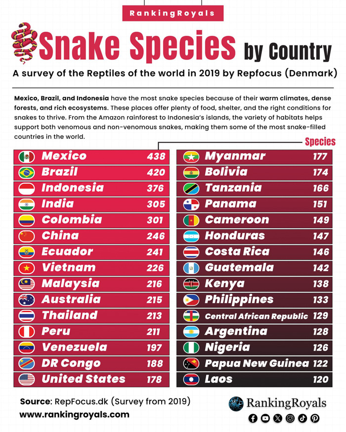 Infographic showing snake species by country highlighting Mexico with 438 species, Mexico fun facts about wildlife