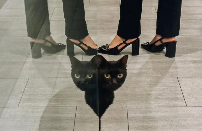 Black cat’s reflection on glass floor with two people wearing black shoes standing nearby in street photo capturing unexpected moments.