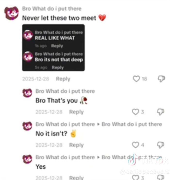 Screenshot of weird and funny TikTok comments with playful and unhinged replies in a conversation thread.