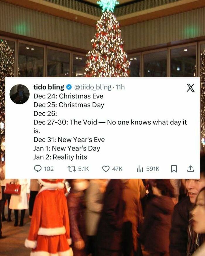 Funny screenshot showing a tweet about holiday days and "The Void" confusing people after Christmas and New Year's celebrations.