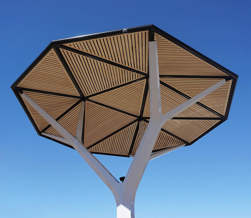 Modern shade structure inspired by biomimicry, featuring tree-like supports and geometric canopy under a clear blue sky.