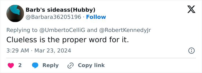 Tweet by Barb's sideass expressing opinion on Alicia Silverstone glitching at Golden Globes as past controversies resurface.