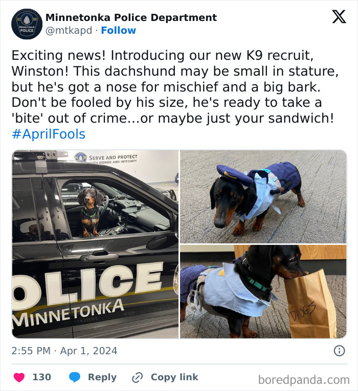 Police social media post features a dachshund dressed as a K9 officer, showcasing hilarious and unserious police accounts.