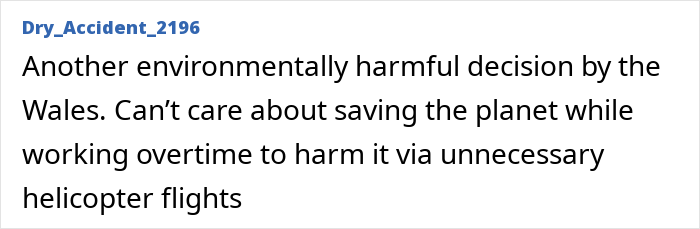 Screenshot of online comment referencing Prince William with his kids and criticizing helicopter flights in Wales