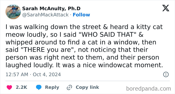Tweet about an embarrassing moment involving a cat meowing loudly that later became funny.