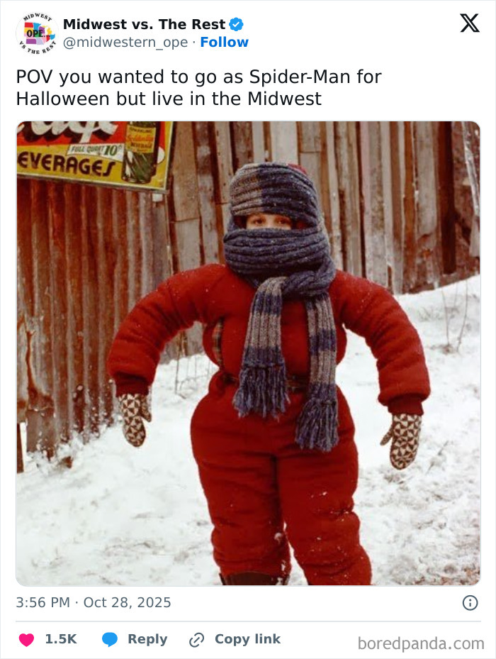 Person bundled in winter clothes in a snowy Midwest setting, showcasing a spot-on Midwest life meme.