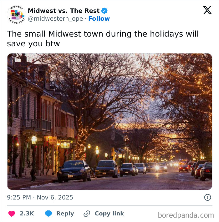Small Midwest town street decorated with holiday lights, cars parked along the road, capturing Midwest life charm.