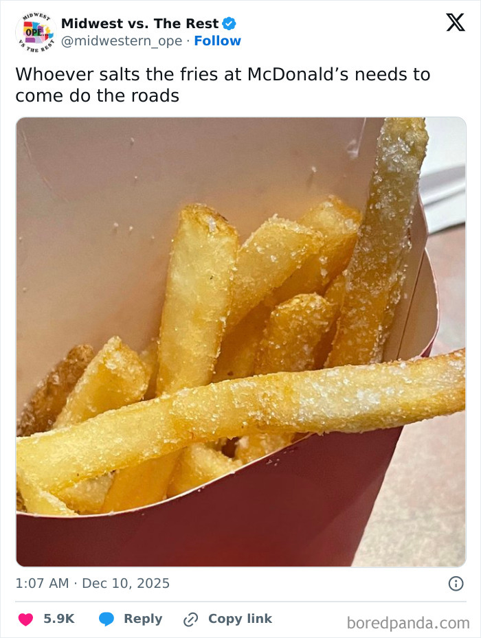Close-up of overly salted fries in a red container, highlighting Midwest life and craving corn humor in a casual setting.