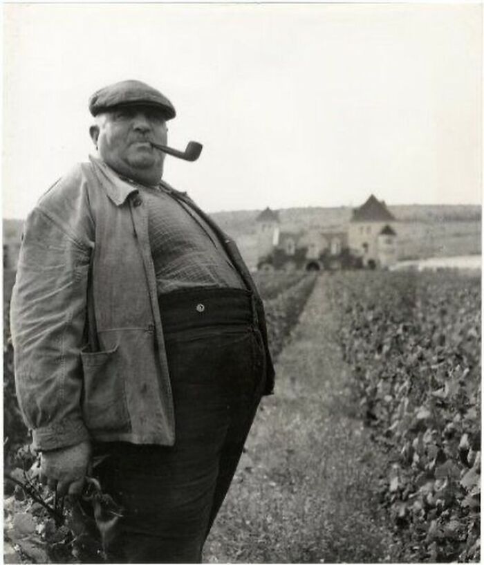 Black and white photograph of a man smoking a pipe standing in a vineyard, capturing history of humanity.