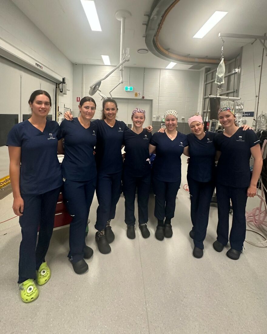 Group of healthcare workers in scrubs posing in a hospital room, illustrating work-life balance challenges in demanding jobs.