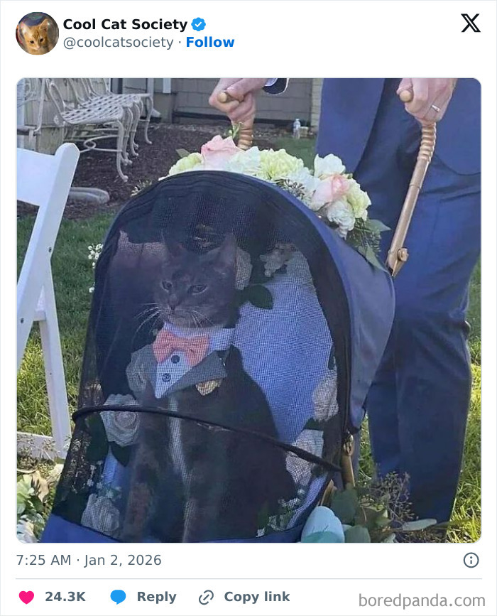 Cat dressed in a tuxedo sitting in a stroller surrounded by flowers, showcasing how awesome cats are in funny memes.