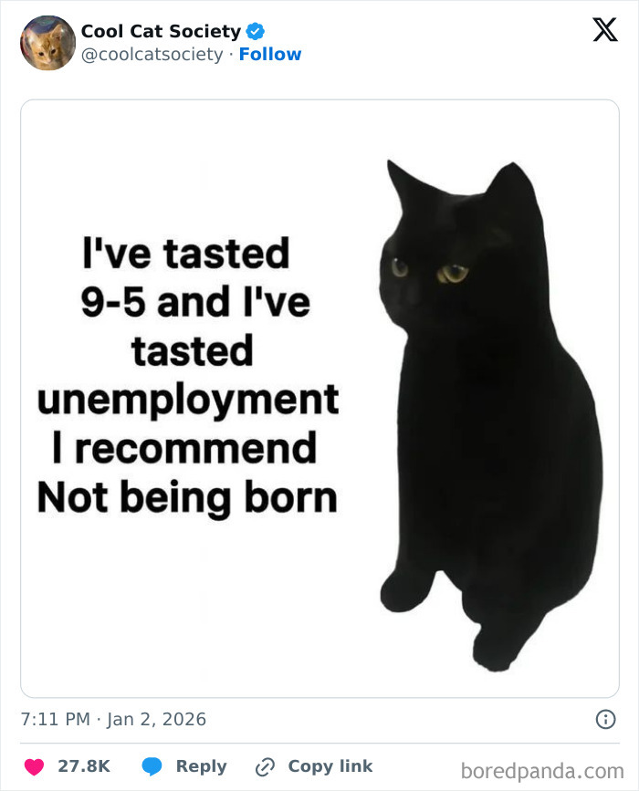Black cat with yellow eyes next to a funny meme about 9-5 work and unemployment in a cat-themed post.