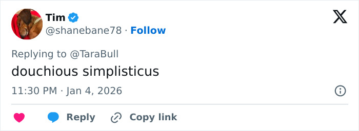 Screenshot of tweet referencing Male Karen: Tim @shanebane78 replying douchious simplisticus to @TaraBull avatar X logo
