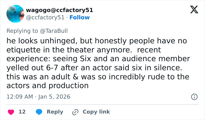 Tweet saying a Male Karen looks unhinged and criticizing theater etiquette after a Broadway meltdown