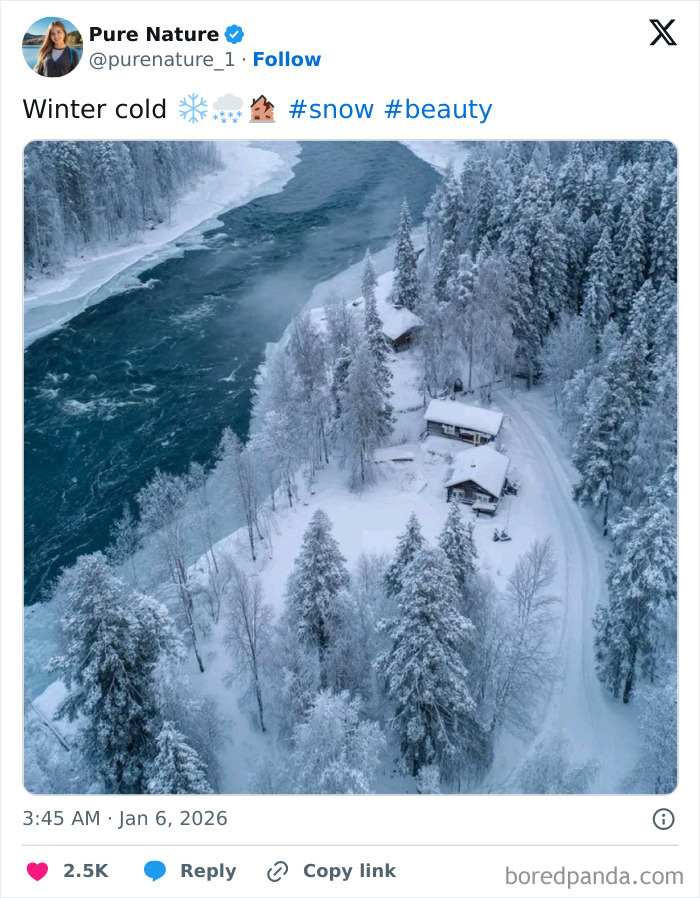 Snow-covered cabins surrounded by cozy winter forest and a flowing river in a peaceful snowy landscape.