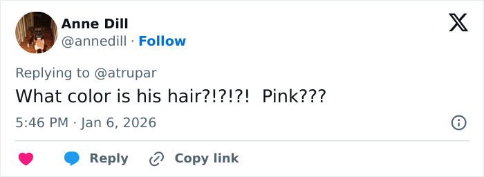 Tweet from Anne Dill questioning the color of Trump's hair turning pink, discussing professional stylist insights.