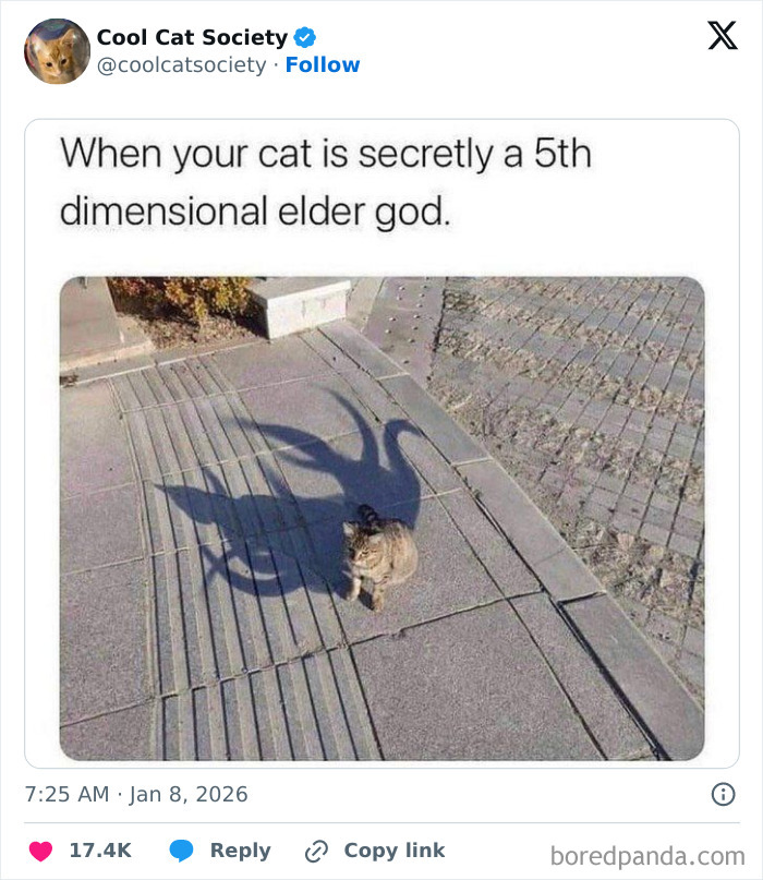 Cat casting a shadow resembling a 5th dimensional elder god, showcasing funny memes about how awesome cats are.