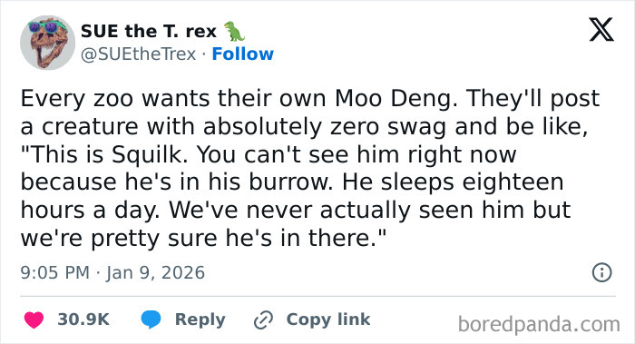 Tweet about a fictional creature named Squilk sleeping in its burrow, part of internet humor in January.