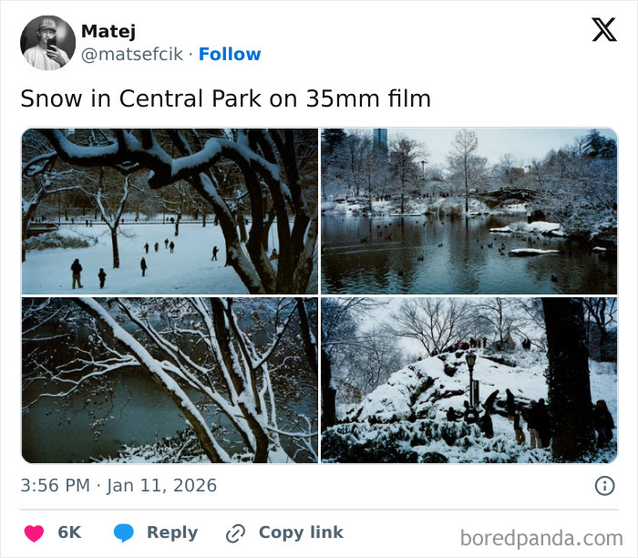 Collage of cozy winter scenes in Central Park with snow-covered trees and frozen water, perfect for enjoying winter indoors.
