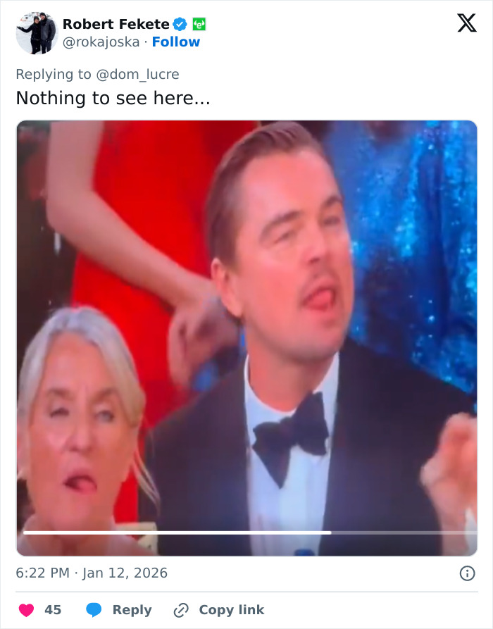 Leonardo DiCaprio making a sassy expression at the Golden Globes, captured during a viral lip reader moment.