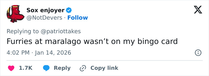 Tweet about a Mar-a-Lago event mentioning people dressed in dog masks and old-time costumes, gaining reactions online.