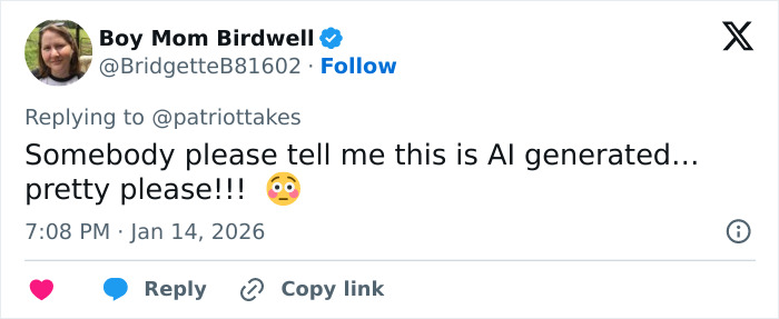 Twitter post from user Boy Mom Birdwell reacting to a Mar-a-Lago event with people in dog masks and old-time costumes.