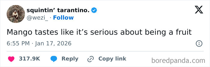Tweet by squintin’ tarantino humorously stating mango tastes serious about being a fruit, showcasing internet funny moments in January.
