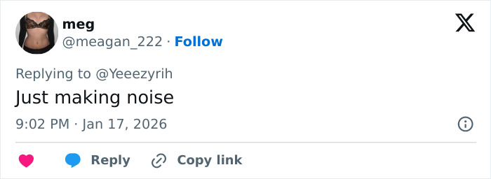 Tweet by user meg replying to Yeezyrih, stating just making noise, posted at 9:02 PM on January 17, 2026.