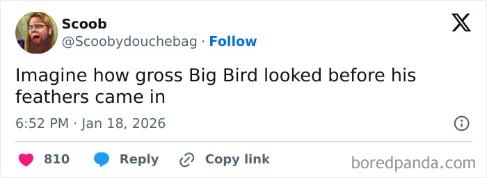 Screenshot of a humorous tweet about Big Bird before feathers, illustrating internet humor moments from January.