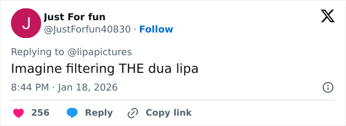 Dua Lipa reacting with surprise as South African fan uses a filter on selfie with the singer during a social media moment.