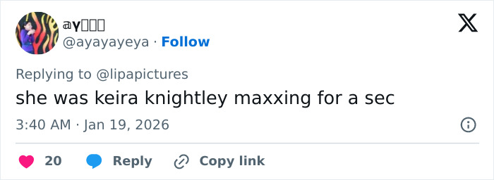 Dua Lipa reacting surprised as South African fan uses a filter on a selfie taken together.