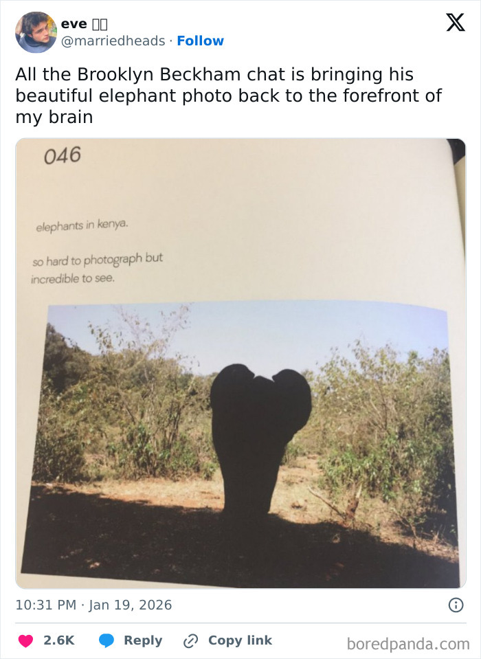 Tweet showing a photo of an elephant silhouette in Kenya, relating to Brooklyn Beckham's elephant photo shared by a fan.