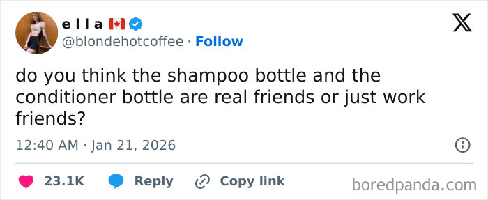 Tweet humor about shampoo and conditioner bottles questioning if they are real friends or just work friends, showcasing internet humor.