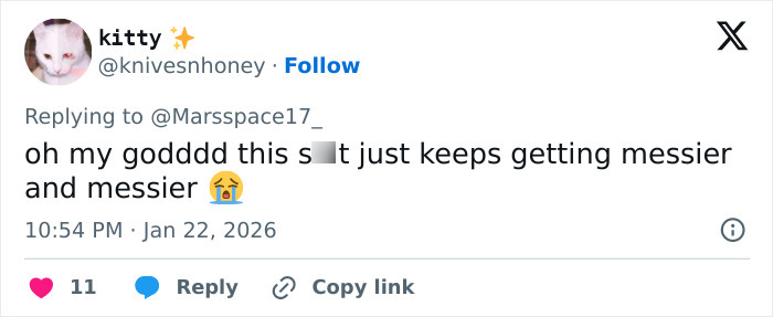 Screenshot of a tweet reacting emotionally to British actress Jameela Jamil's insults toward Blake Lively in revealed texts.